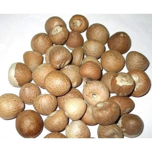 Whole Supari Areca Betel Nut, 1 kg